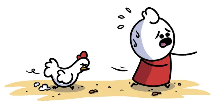 Le Naufragé se fait poursuivre par une poule en colère