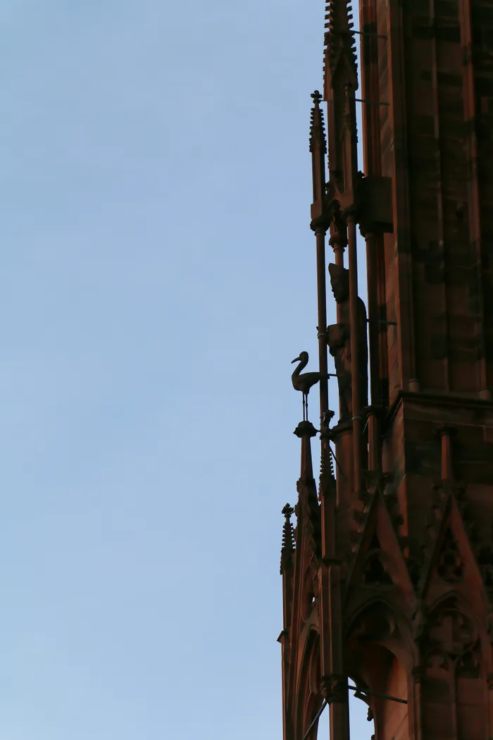 miniature du projet Strasbourg